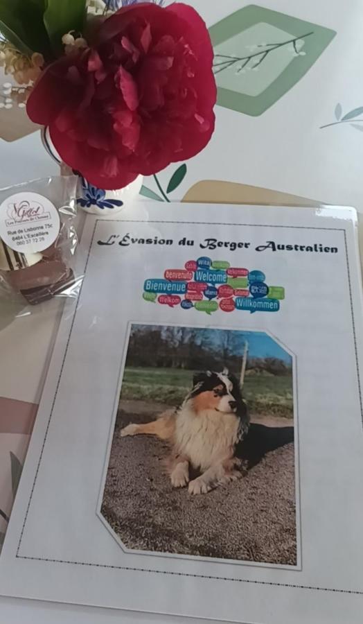 דירות קובן L'Evasion Du Berger Australien מראה חיצוני תמונה